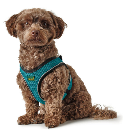 Hunter Hilo Comfort dog harness in turquoise, size M for 55-60 cm, made for comfortable fit and secure control.