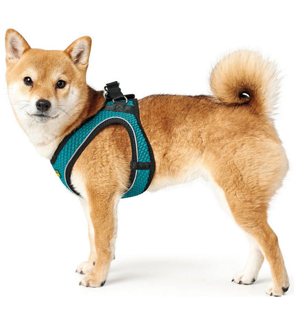 Hunter Hilo Comfort dog harness in turquoise, size M for 55-60 cm, featuring padded straps and adjustable fit.