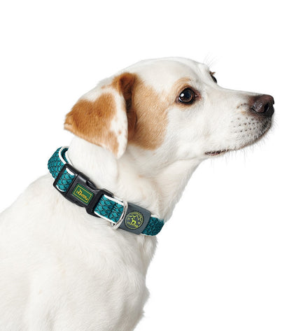 Hunter Vario Basic dog collar with turquoise braided design, adjustable for medium-sized dogs, made of durable material.