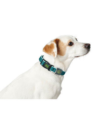 Hunter Turkoois hondenhalsband met verstelbare band en stevige metalen gesp, geschikt voor honden van 12 kg.