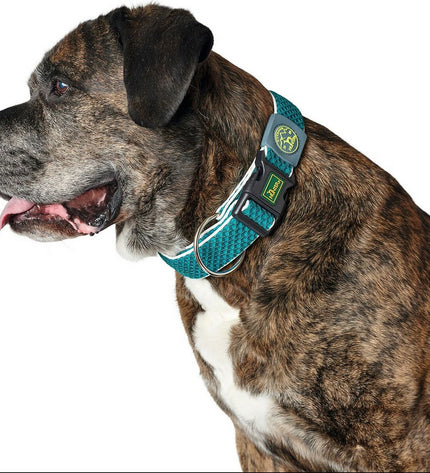 Hunter Plus turquoise dog collar with a metal buckle, designed for canine comfort and style.