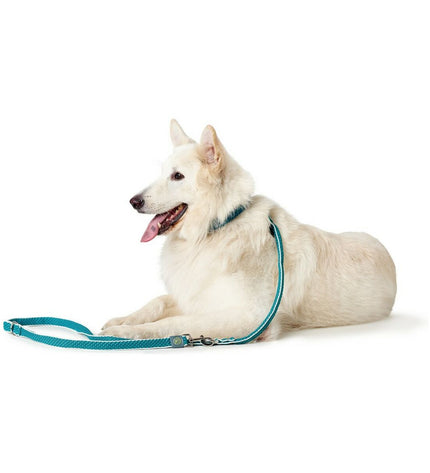 Hunter HILO turquoise dog leash, 200 cm long, made of durable material, shown laid out on a white background.