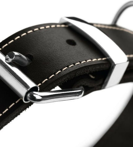 Black Hunter Aalborg dog collar for medium-sized dogs, adjustable 28-34 cm, shown on a dog. Durable pet accessory.