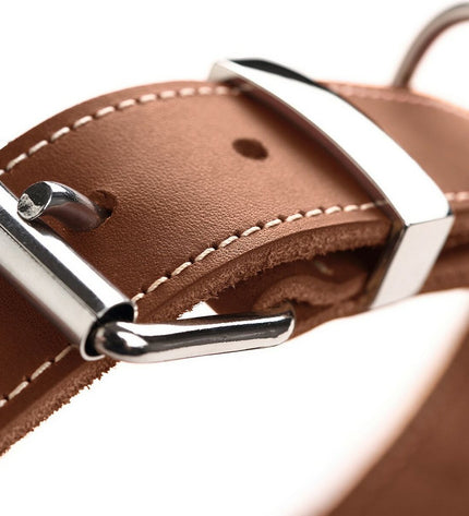 Hunter Aalborg cognac dog collar for small to medium dogs, featuring durable leather and adjustable fit.