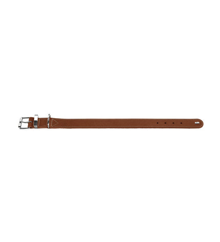 Hunter Aalborg Special Cognac dog collar with adjustable strap, leather material, and metal buckle in natural outdoor setting.