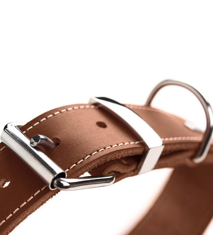 Hunter Aalborg Special Cognac dog collar for medium-sized dogs, featuring stylish leather design and adjustable fit.