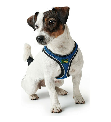 Blue Hunter Hilo-Comfort dog harness for small dogs, adjustable size S (42-48 cm), soft and comfortable for pets.