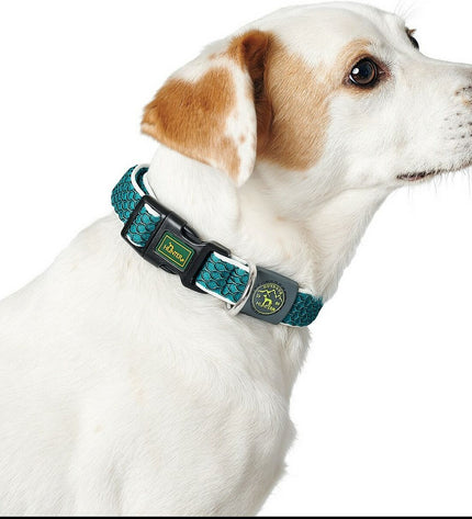 Hunter Basic Draad Blue dog collar in size M, showing the blue nylon strap with metal buckle, suitable for medium-sized dogs.