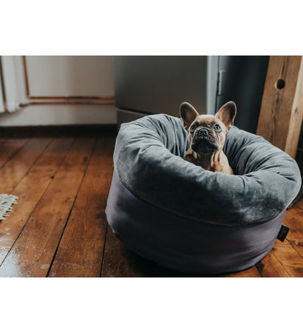 Gray Hunter Miranda dog bed in 50x50 cm with soft fabric and raised edges for comfort and support.
