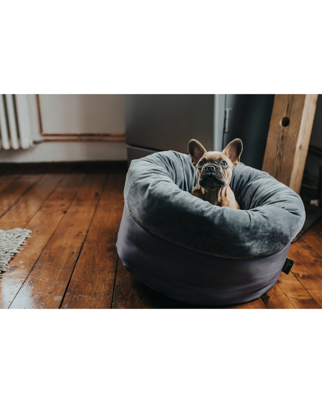 Gray Hunter Miranda dog bed in 50x50 cm with soft fabric and raised edges for comfort and support.
