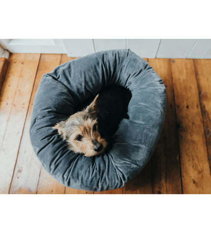 Hunter Miranda hondenbed in grijs, 50x50 cm, soft fabric, cozy dog bed for small to medium dogs.
