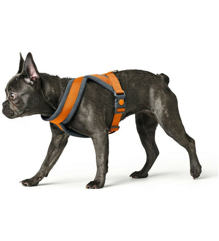 Hunter London Comfort dog harness in orange, size S/M, adjustable for small to medium dogs, with padded straps for comfort.