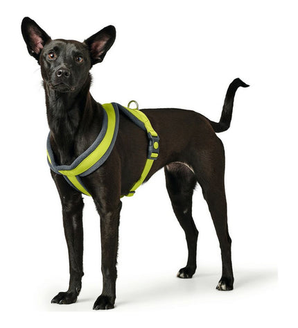 Hunter London Comfort XS-S dog harness in lime green, adjustable for small dogs 39-47 cm, made for comfort and secure fit.