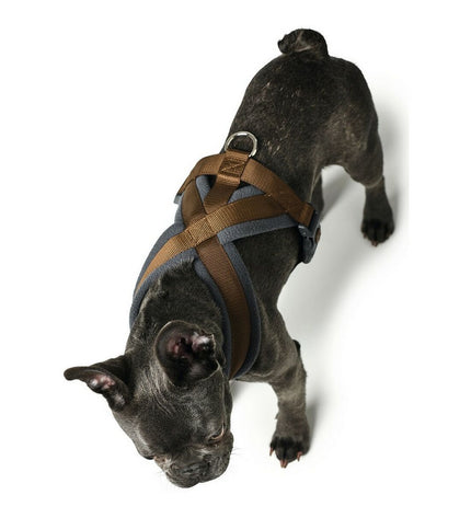 Hunter London Comfort dog harness in brown, size S/M, adjustable for 48-56 cm neck, made for comfortable pet walking.