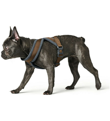 Hunter London Comfort brown dog harness for small/medium dogs, adjustable with padded straps, size 52-62 cm.
