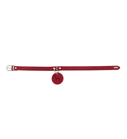 Hunter Aalborg red dog collar for large dogs, 45-55 cm, made of durable material with adjustable fit.