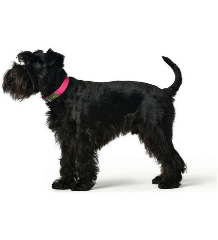 Pink Hunter Convenience dog collar in size M (38-46 cm) with adjustable strap and sturdy buckle for medium-sized dogs.