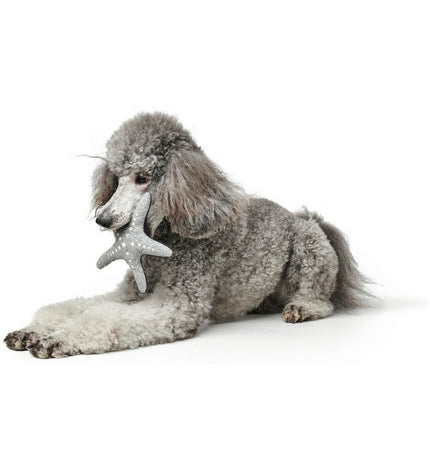 Hunter Skagen gray and dark blue dog plush toy with star design, made of polyester, for dogs.