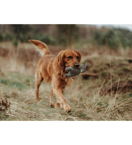 Hunter gray dog cuddly toy made from 100% recycled beer bottles, soft and durable for dogs to chew and cuddle.