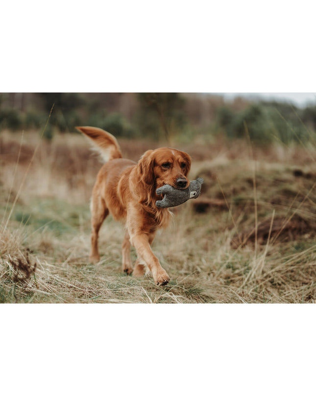 Hunter gray dog cuddly toy made from 100% recycled beer bottles, soft and durable for dogs to chew and cuddle.