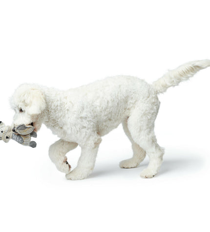 Hunter beige dog plush toy made from 100% recycled fox material, soft and durable for pets.