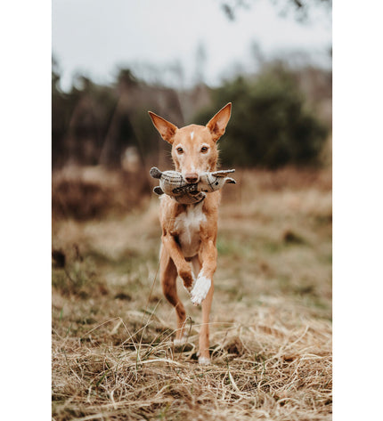 Hunter beige dog cuddly toy made from 100% recycled fox fabric, designed for dogs and animal comfort.