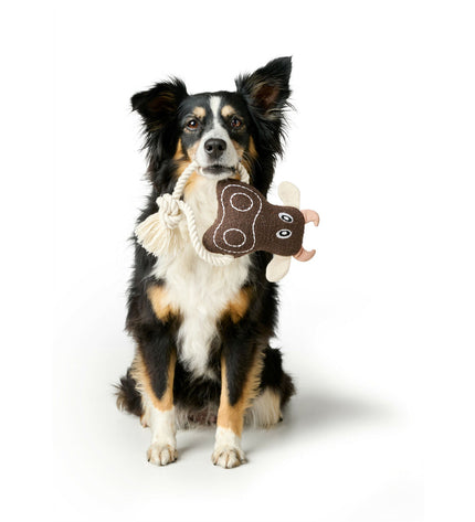 Hunter Nebraska brown polyester dog toy shaped like a cow, designed for dogs to chew and play with.