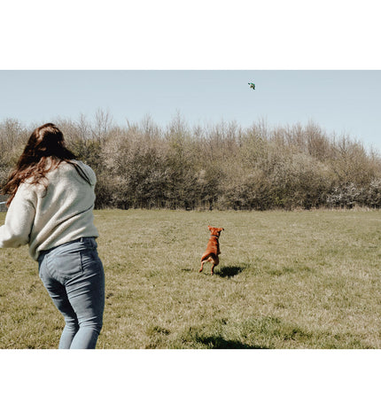 Hunter hondenspeelgoed, dierproducten for dogs, featuring durable and colorful dog toy with brand logo and textured surface.
