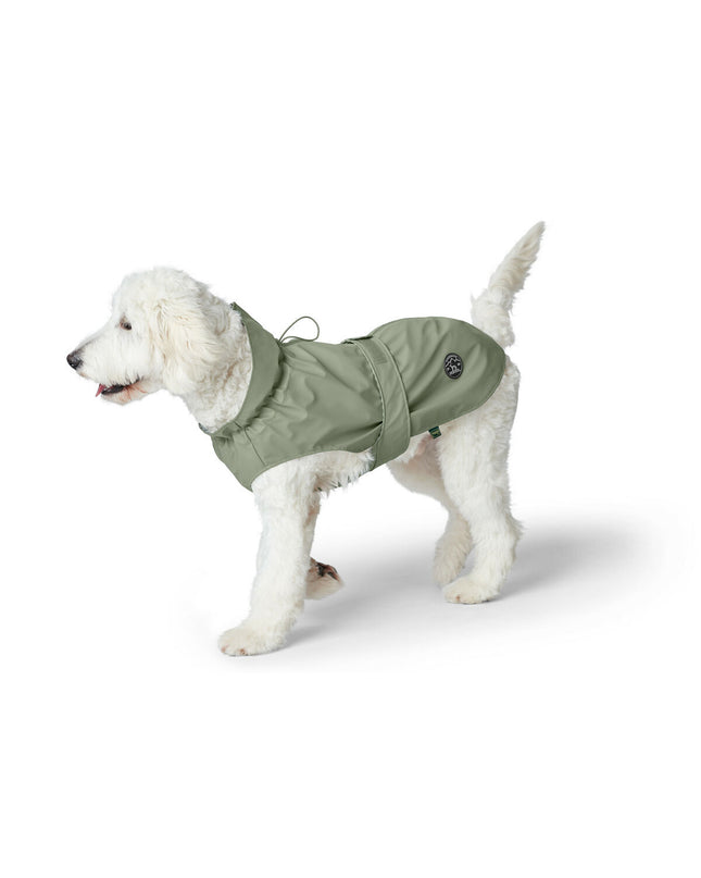 Hunter Milford Groen dog rain jacket for small dogs, 35 cm, waterproof and lightweight, shown on a small dog.