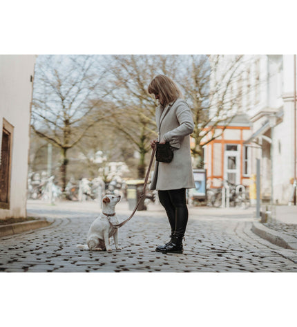Hunter Inari beige dog collar for medium-sized dogs, adjustable 30-45 cm, made of durable material with a stylish design.