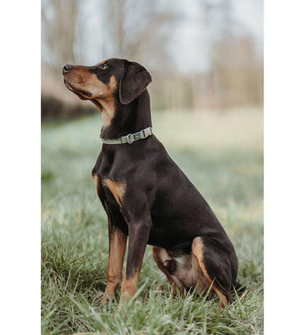 Hunter Groen dog collar for medium-sized dogs, 40-55 cm, shown in a close-up image highlighting the durable design and adjustable strap.