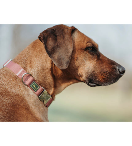 Hunter red dog collar for large dogs, adjustable 40-55 cm, made of durable material, shown on a dog with metal buckle.