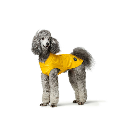 Hunter Milford yellow dog coat, 30 cm, lightweight waterproof jacket for small dogs, with adjustable straps and logo details.