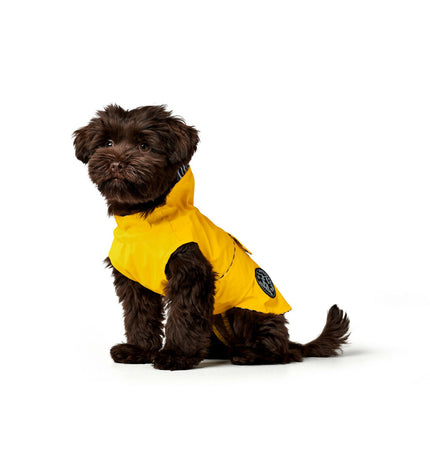 Yellow Hunter Milford dog jacket for small dogs, 30 cm, showing the lightweight waterproof outer fabric and adjustable collar.