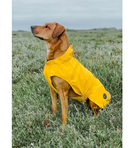 Yellow Hunter Milford dog coat, 50 cm, lightweight weather-resistant hondenjas with adjustable straps and reflective details.