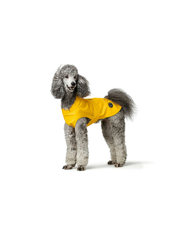Yellow Hunter Milford dog raincoat for small dogs, 50 cm, with waterproof fabric and adjustable fit.