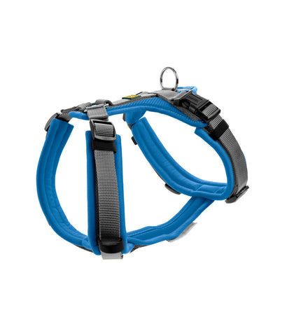 Blue Hunter Maldon Up dog harness for dogs, adjustable 38-62 cm, made for comfortable and secure pet control.