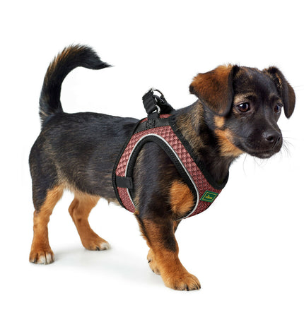 Pink Hunter Comfort dog harness in XS/S size with adjustable strap, suitable for small dogs, featuring padded comfort design.