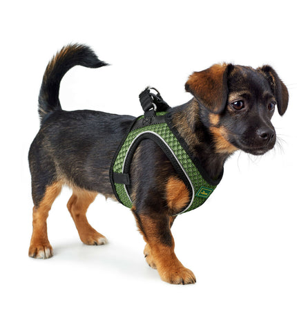 Hunter Comfort Groen dog harness in size S/M, adjustable for 48-55 cm, made of durable fabric with padded straps for comfort.