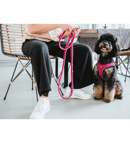 Hunter Comfort Fuchsia dog harness for small to medium dogs, pink adjustable nylon strap with metal buckle.