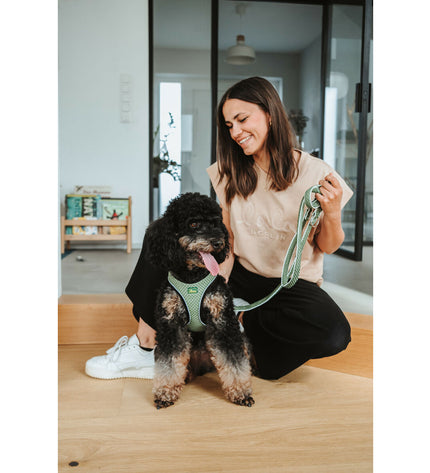 Hunter Groen 2 m verstelbare hondenriem, groene nylon leash for dogs with metal clip, suitable for outdoor walks and training.