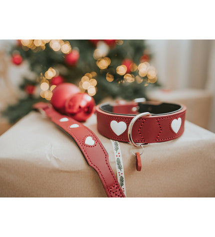 Hunter Love red dog collar for small to medium dogs, 38-44 cm, with adjustable strap and stylish design.