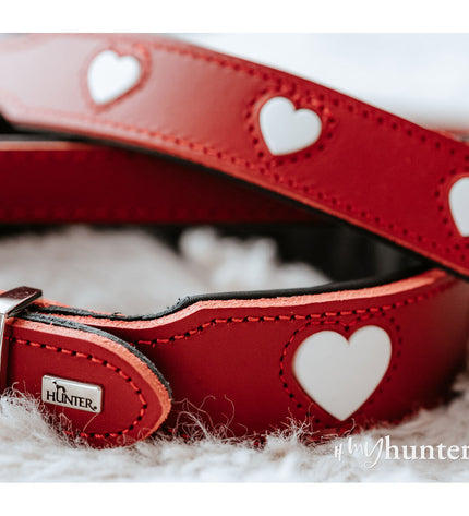 Hunter Love Rood dog collar in size S/M, 38-44 cm, shown in brown leather with a heart-shaped pendant for pets.