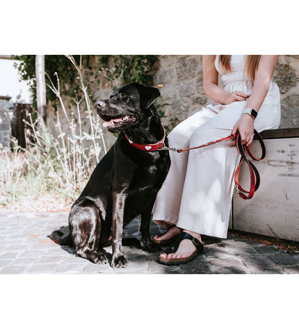 Hunter Rood 2m adjustable dog leash with red nylon strap and metal clasp, suitable for walking and training dogs.