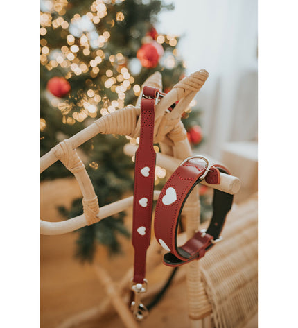 Hunter Rood 2m adjustable dog leash with red nylon strap and metal clip, suitable for walking and training dogs.
