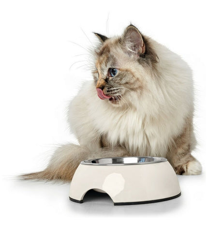 Hunter melamine dog food bowl in white, stainless steel, 160 ml capacity, with a 14.5 cm square size for pet feeding.