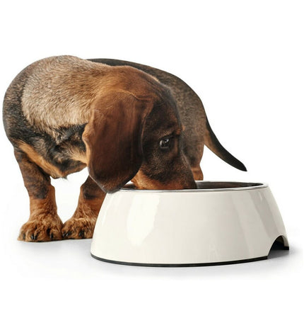 Hunter melamine dog food bowl in white, stainless steel, 350 ml capacity, with 18.5x18.5x9.5 cm size.