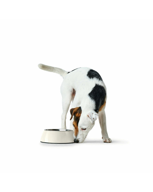 Hunter black 1.4L melamine dog feeding bowl, durable and stylish for dogs, designed for easy feeding and cleanup.