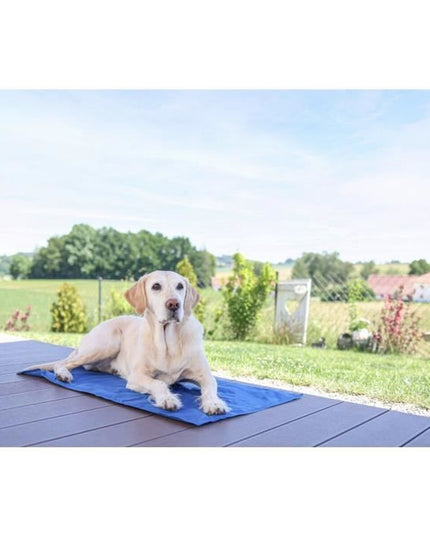 V2H17D30FA985D212DBACB31D3DAD6AC21ER7467615P6