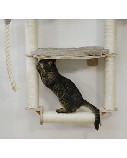 V2H6C5C9B92E91FDC67C831D830BD9BF9F9R7479784P6